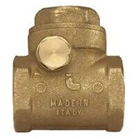 3inch BSPP Swing Check Valve