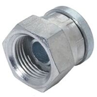 Swivel Female Caps BSPP