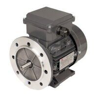 TEC IE2 0.55kW 4 Pole Single Phase Perm Cap B...