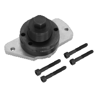 Sealey VSE3036 Fuel Pump Locking/Removal Tool...