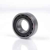 Toroidial roller bearings