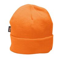 Portwest Insulated Knit Beanie (Orange / R)